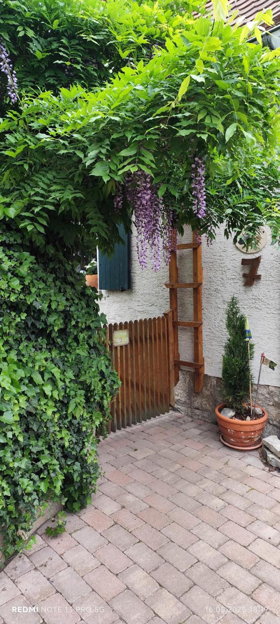 Ferienwohnung Geiernest Ochsenfurt Bagian luar foto
