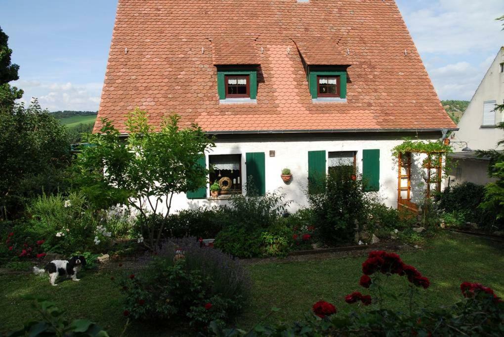 Ferienwohnung Geiernest Ochsenfurt Bagian luar foto